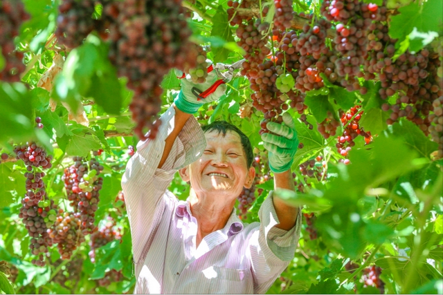 月薪8000留不住人，牧民靠万亩草场维生，新疆的上限下限超乎想象
