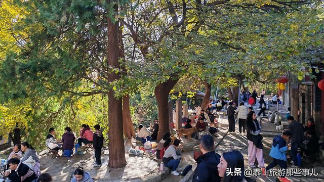 泰安：它是一个藏在泰山群峰间的免费景点，能赏银杏登天梯品清茶