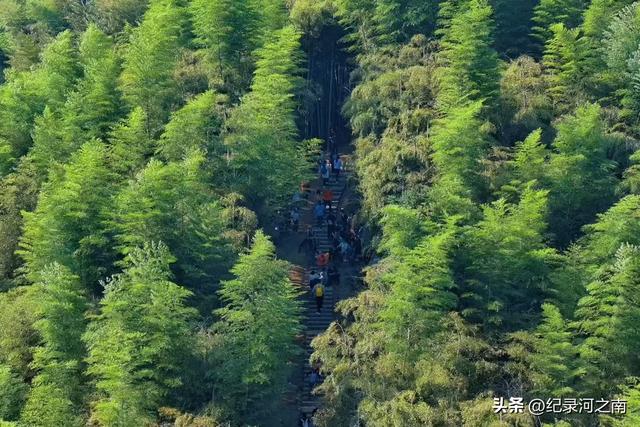 莫干山的秋色是美丽的但千想万想没想到人生第一次拉胯徒步竟在此