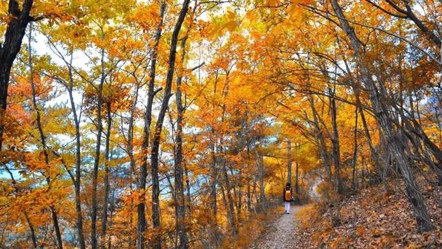 广元旺苍，倒也不必美得如此满分！！！
