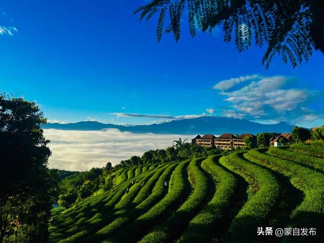 全球达人“种草”！云南入选全球2026年最值得去的地方