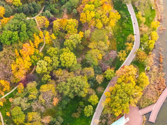 初冬访复圣文化园：与色彩和哲思对话