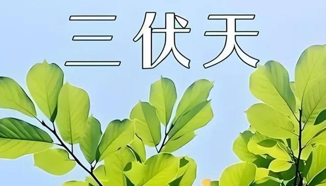 今年三伏天10年一遇，4大特殊的点，今年的高温还要持续多久