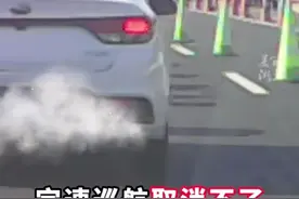 又一起定速巡航失灵，120码狂飙100公里，4S店和交警都出动了图片