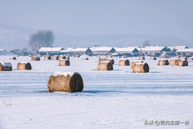 “冷不冷，就看冬月初一”，今日冬月初一，2026年春节会很冷吗？