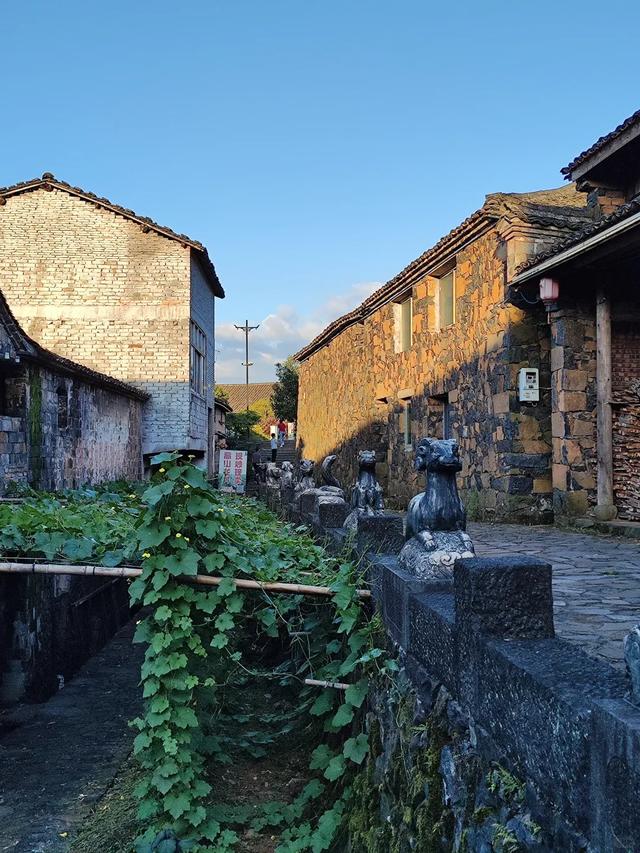 藏在郑州洛阳之间！河南这人杰地灵的小城被严重低估，没去过真亏