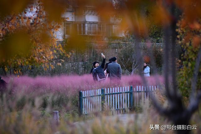 达活泉，这才是秋天该有的样子（图）