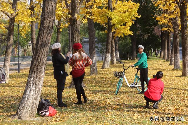 无锡吴都路，金色的世界