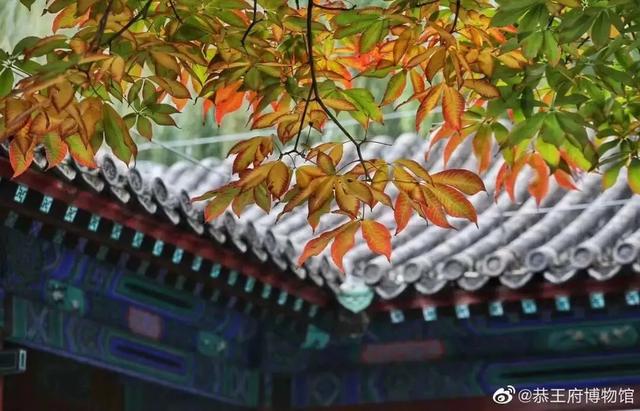 博物馆秋之旅丨与金秋相遇，这里有最美的古都秋色！