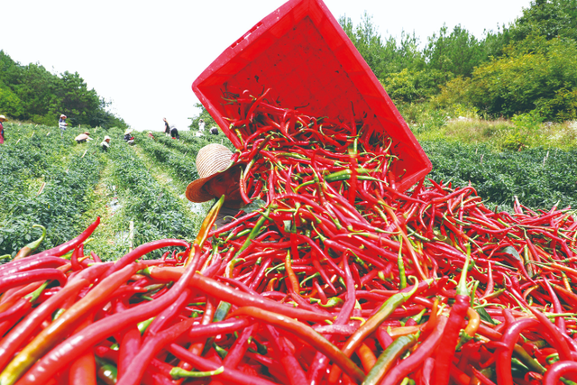 巫山：秋日巫峡 斑斓画卷