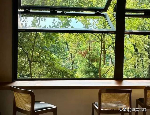 100个美梦丨在天台山云雾深处，藏着一处会呼吸的苔藓秘境
