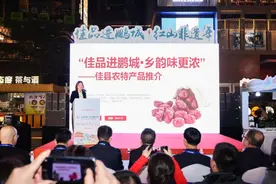 “榆”味飘香！“佳县好产品”走进大湾区图片