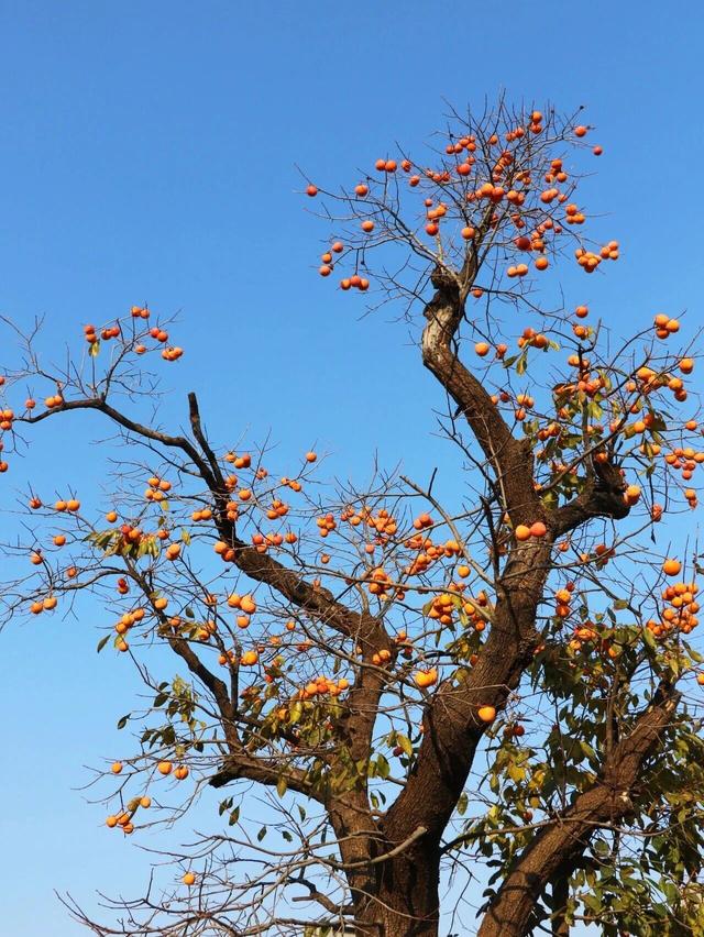 出片率UP！UP！UP！潍坊这里好美啊！