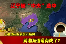 辽宁被“中央”选中，打造双核四副城市结构，跨渤海通道有戏了？图片