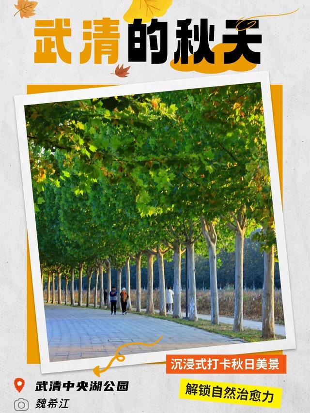 嗨，你的秋天留住了吗？