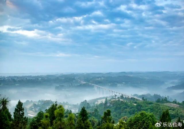 除了“YYDS”，我们还可以这样夸仁寿