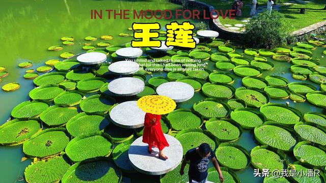 南宁人民公园半日游，一个免费的好地方！
