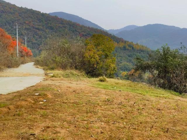 什么叫层林尽染？马谷田镇义和寨东边的堰塘寺告诉您！