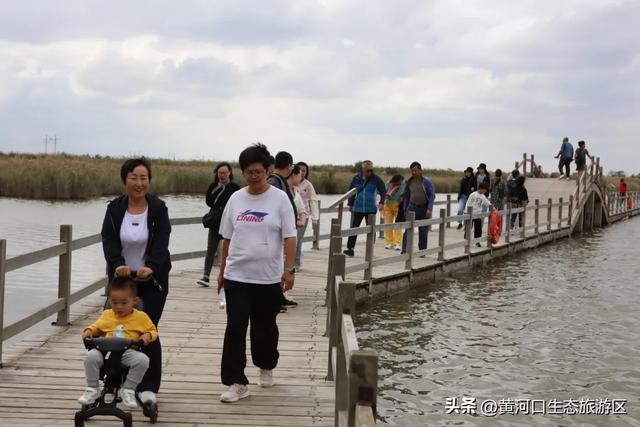 【情满双节游东营】黄河口生态旅游区 开启“人从众”模式 国庆精彩持续上演