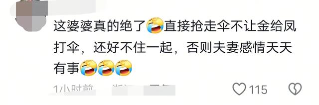 小凤吃饭金哥帮她打伞，婆婆看不下去把伞拿走，评论区炸锅了！