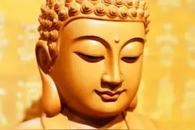 苦命生肖猪，生于阴历这两个月“命最薄”，是生来还债的!图片