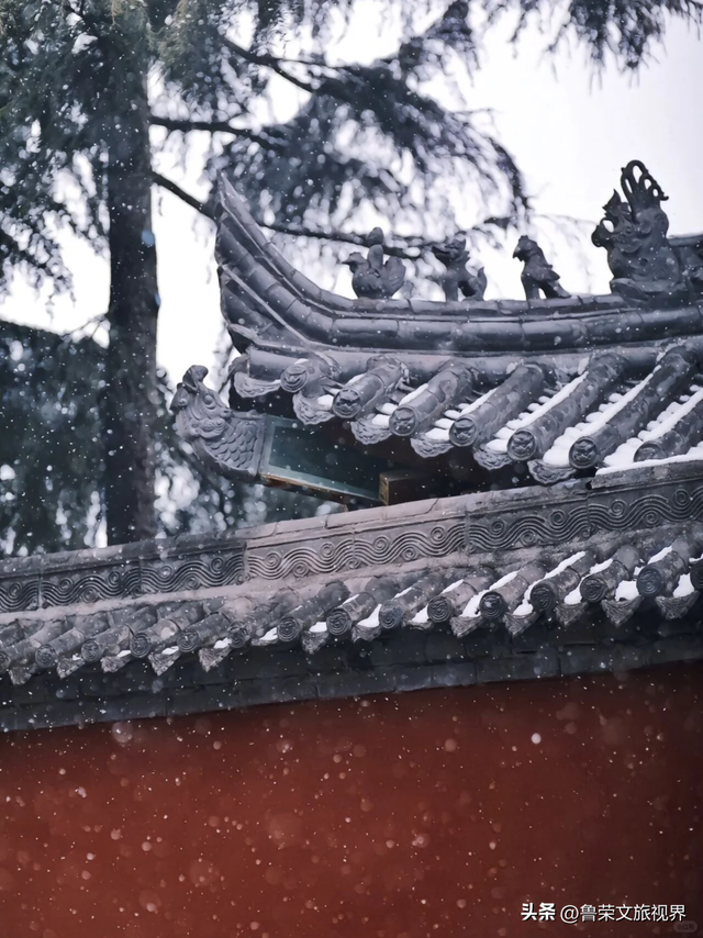 2025第一场雪赴长安：西安变回长安的素白之约