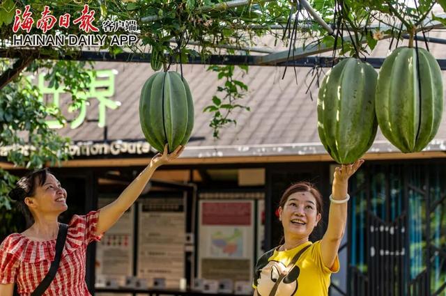 “Hainan Travel”新攻略来了！GO GO GO~
