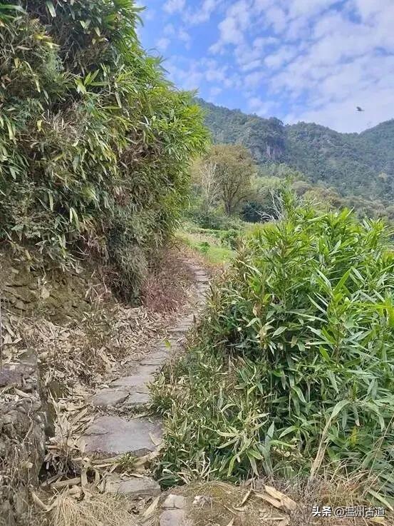 温州著名的红色古村，深藏岁月深处的浙南革命印记，值得你来