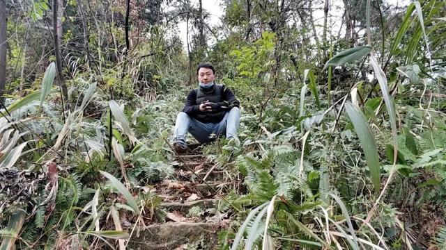 重庆荒效野岭发现大量石碑，碑身高大雕工精美，每块都有百年历史