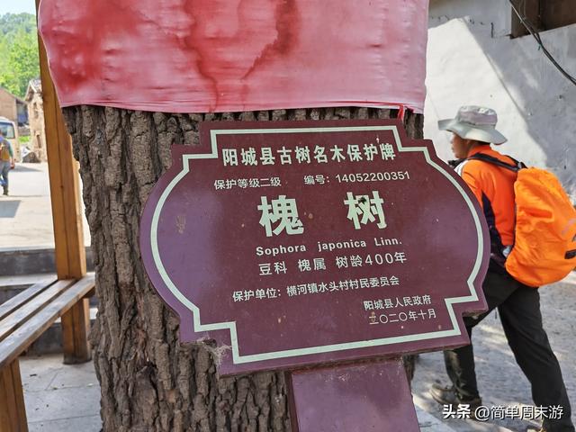 7）山西阳城析城山圣王坪，在云端草甸邂逅狼毒花的美，与千年传