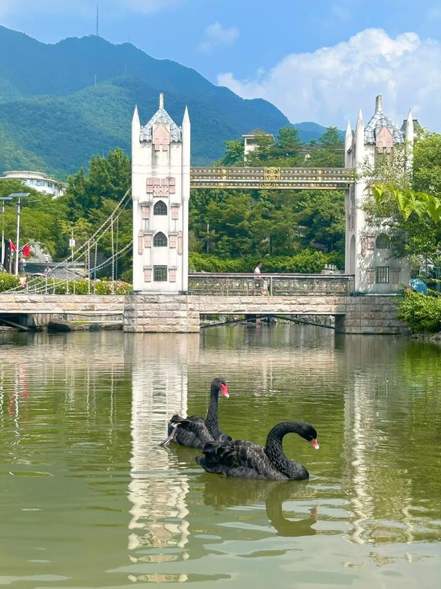 广州没想到，深圳没想到，肇庆就这么慢悠悠出圈了！