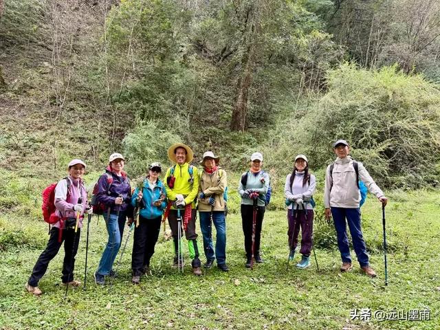 徒步武定香水箐，赏野草香飘、听溪流淙淙，徜徉绿水青山中，惬意