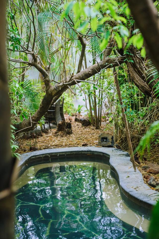 立冬养生局丨赴腾冲荷花温泉，泡森林秘境暖泉，疗愈一整个冬天