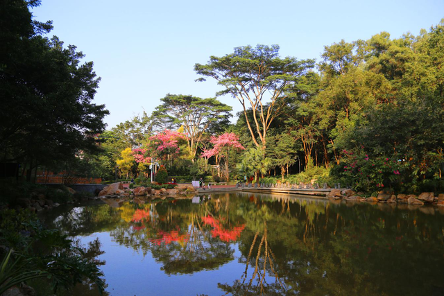 春日踏青何处寻？来龙城公园邂逅“城市生灵自然径”