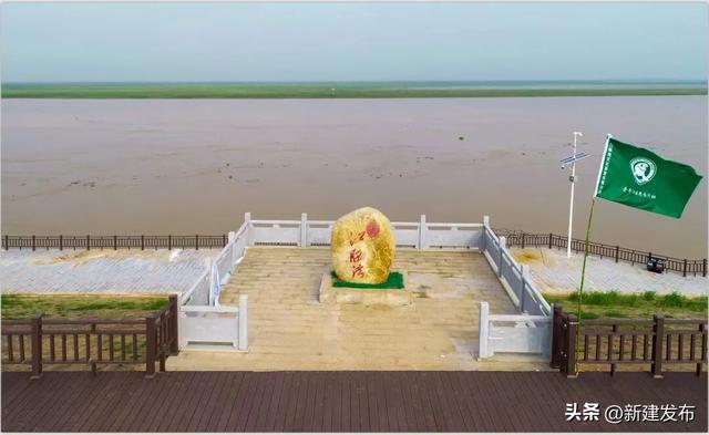 蓼子花海，候鸟翩跹醉初冬