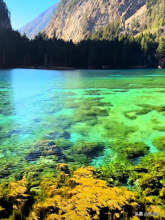 我在九寨沟踩了一脚“碎钻”，才懂日子里的光根本藏不住
