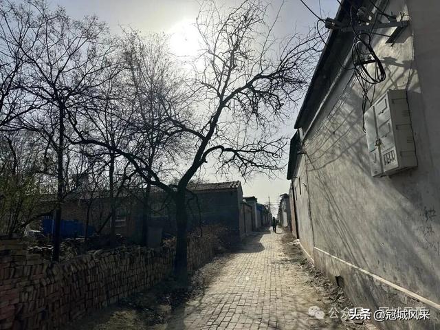 冠县乡韵·辛集镇饮马庄