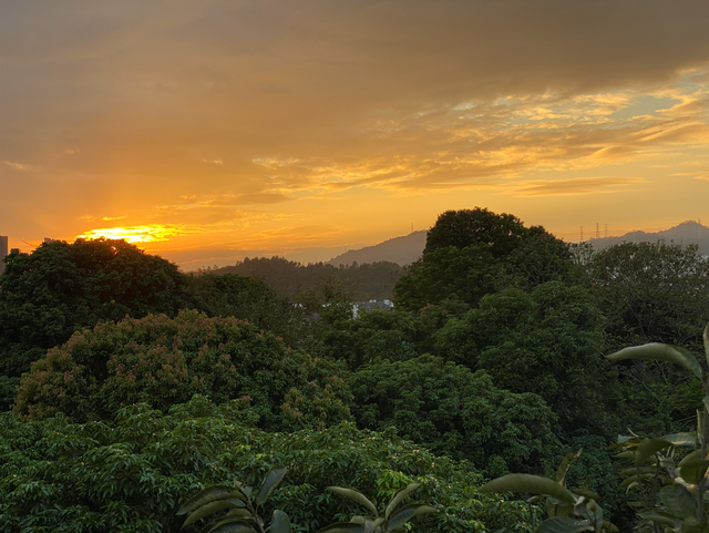 麒麟山真理公园1：这里的美景惊艳整个黄埔，你来过这里吗？
