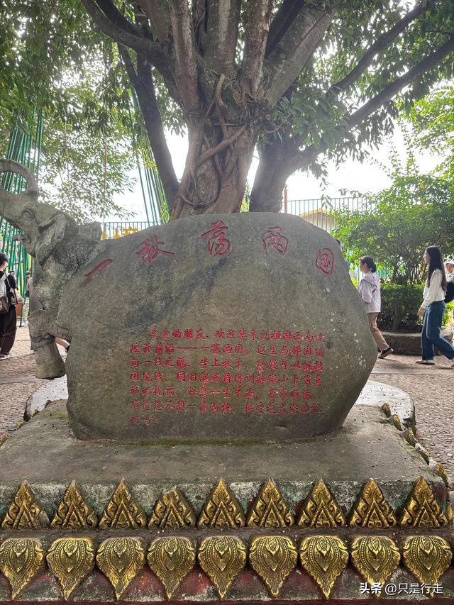 云南弥勒避暑旅游生活记录（三）瑞丽