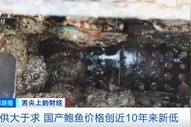 这种海鲜便宜了，价格创近10年新低！很多日照人爱吃图片