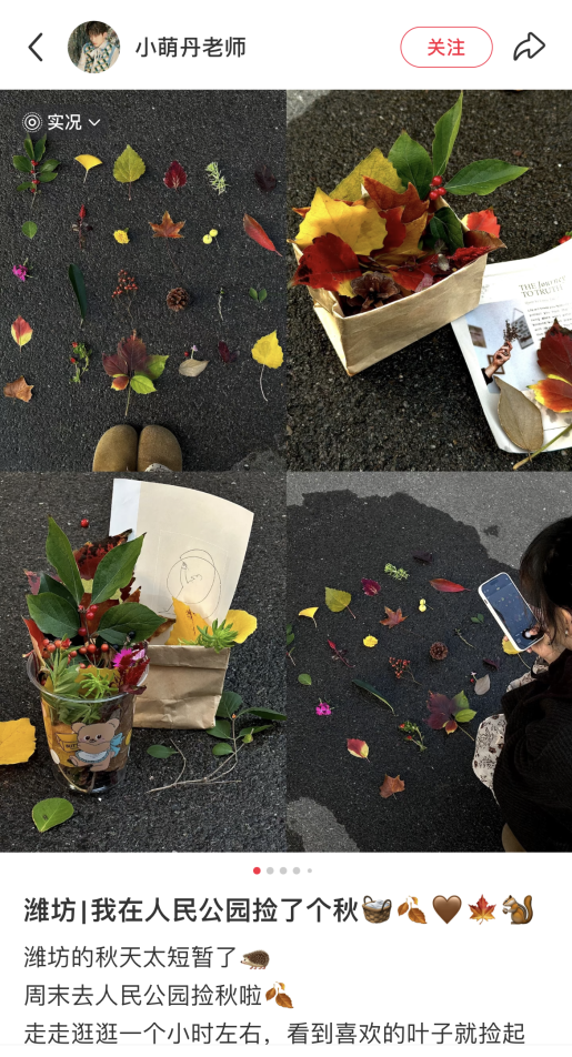 我捡，我捡，我在潍坊捡捡捡！