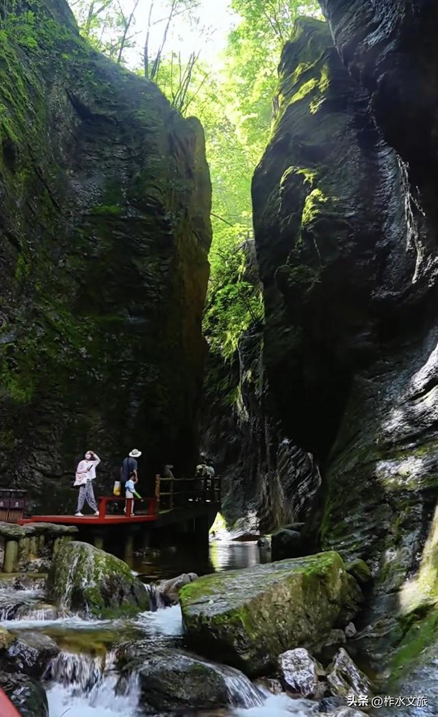 牛背梁景区临时闭园公告
