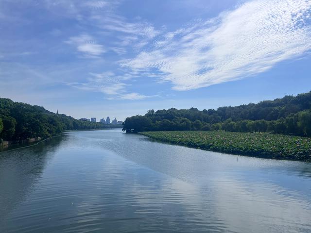 夏日西湖，8月9日。