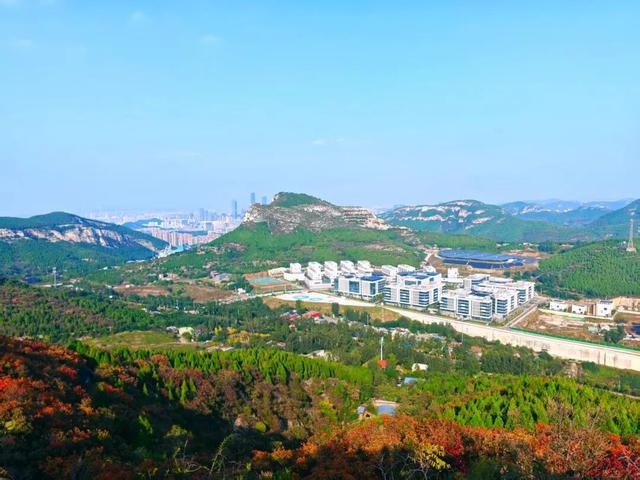 黄栌、五叶枫......济南这里将迎来赏叶黄金期
