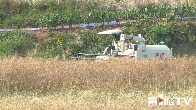 重庆第1眼 | 全国第一梯队！ 山城：信息化驱动新动能