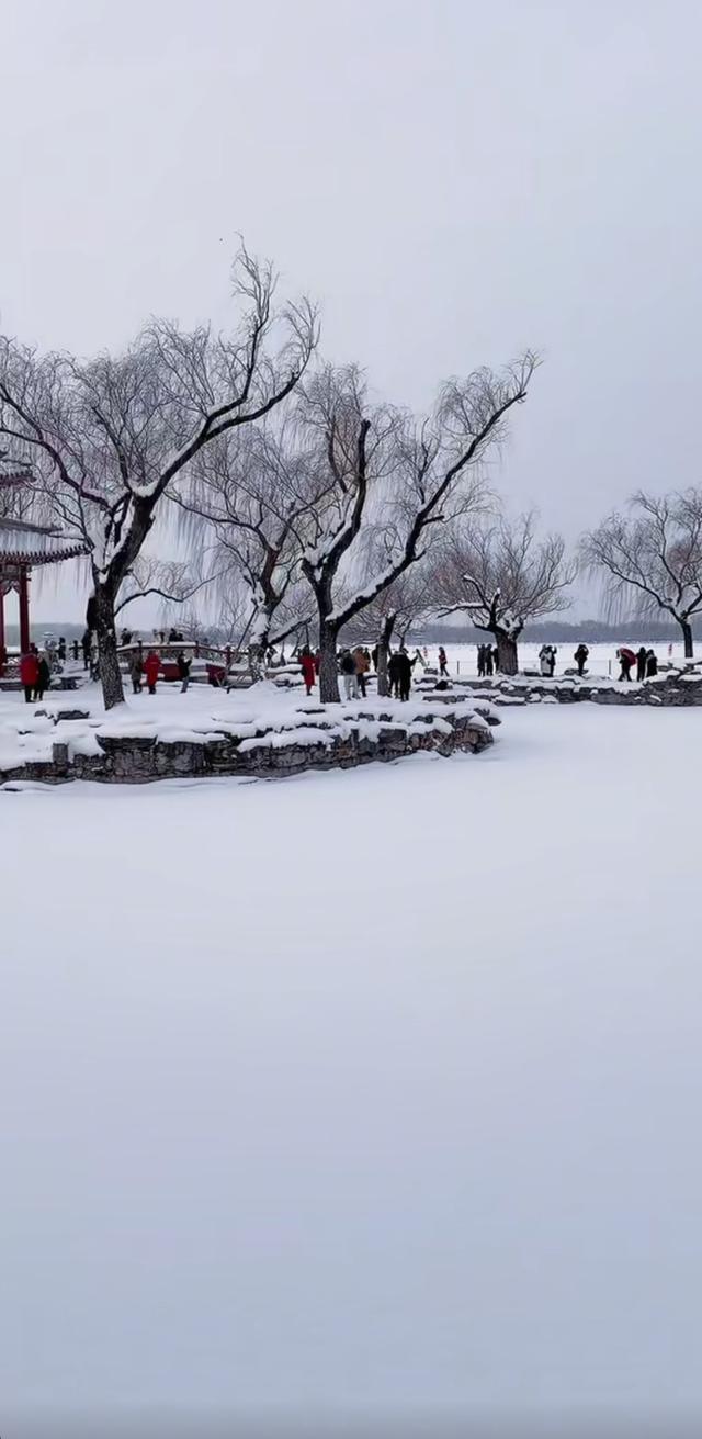 雪后的颐和园美成了一幅水墨画
