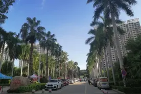 谈谈海南乐东九所新区的租房房价图片