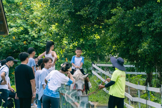 秋日登高 接福接财 南丹山财神文化游9月20日启幕