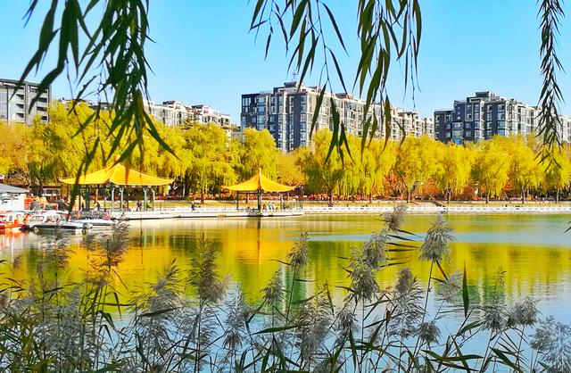 狂风散尽现碧空 北京市民陶然亭公园共赴“大风蓝”之约