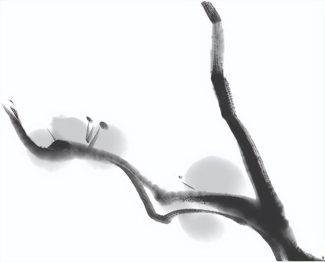 旅居隆阳·寻旅篇丨解锁千年古道的烟火与惊喜